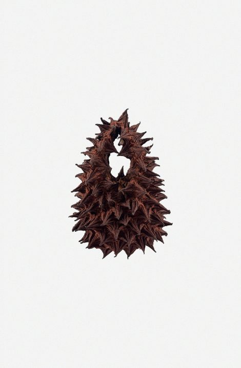 Mahogany (Mini)
