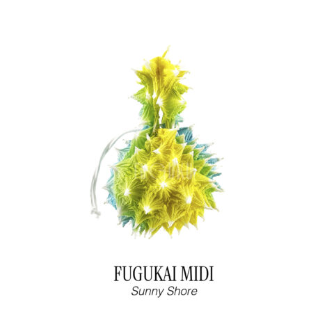 1757932463283-fugukai_midi__sunny_shore_-scaled 1757932463283-fugukai_midi__sunny_shore_-scaled