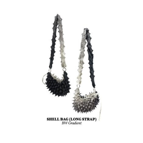 shell_bag_bw_gradient__long_-scaled
