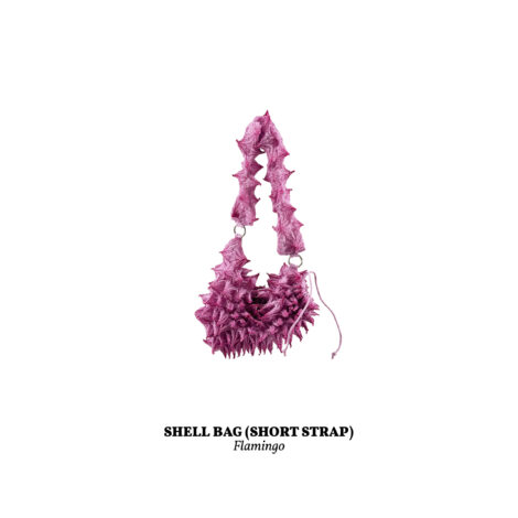 1734365829589_shell_bag_flamingo__short_-scaled