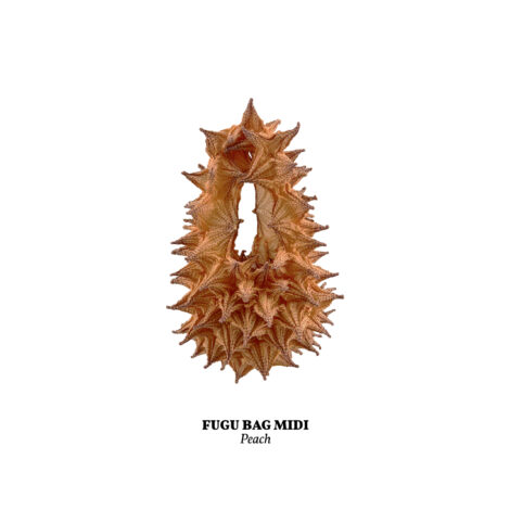 1734365843413_peach__midi_-scaled