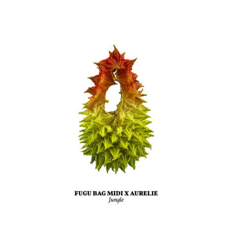 1734365862300_jungle__midi_-scaled