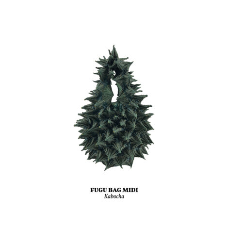kabocha_new__midi_-scaled