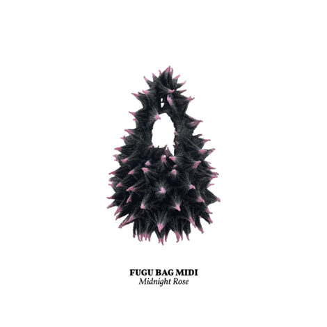 midnight_rose__midi_-scaled