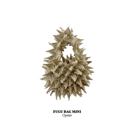 1734365828189_oyster__mini_-scaled