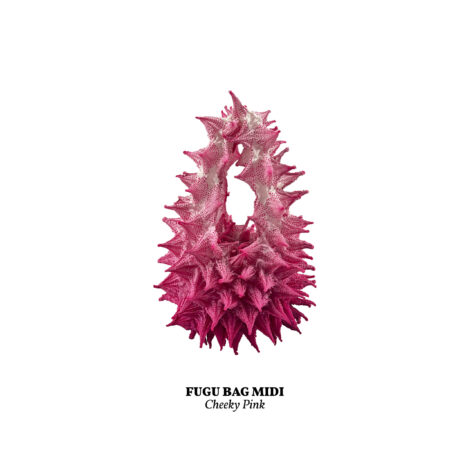 1734365840097_cheeky_pink__midi___2_-scaled