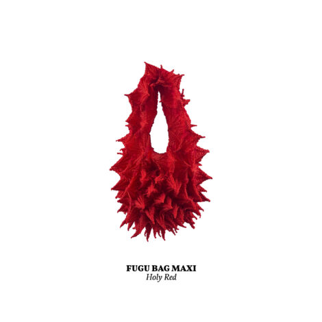 1734365863475_holy_red__maxi_-scaled